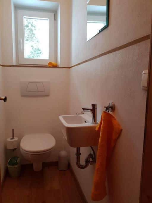 Gemuetliche Wohnung Mit Blick Auf Den Zahmen Kaiser Niederndorferberg Bagian luar foto